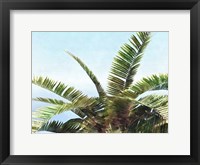 Pleasant Palms I Framed Print