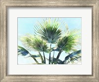 Pleasant Palms II Fine Art Print