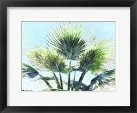 Pleasant Palms II Framed Print