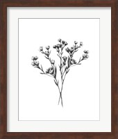 Wild Thistle Bundle II Fine Art Print