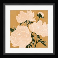 Modern Peonies II Framed Print