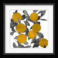 Shadow Branch I Framed Print