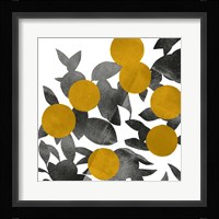 Shadow Branch II Framed Print