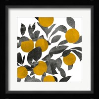 Shadow Branch III Framed Print