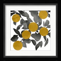 Shadow Branch IV Framed Print