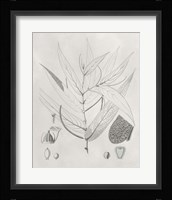 Vintage Leaves IV Framed Print