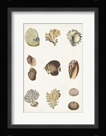 Antique Coastal Chart I Fine Art Print