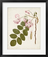 Vintage Flowering Trees VIII Fine Art Print