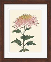 Chrysanthemum Woodblock II Fine Art Print