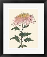 Chrysanthemum Woodblock II Framed Print