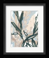 Seaweed Drift I Framed Print
