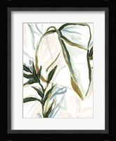 Tropical Impromptu III Framed Print