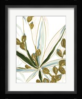 Tropical Impromptu IV Framed Print