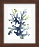 Liquid Coral I Fine Art Print