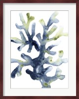 Liquid Coral I Fine Art Print