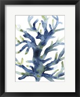 Liquid Coral III Fine Art Print