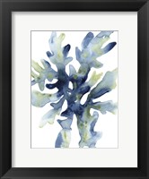 Liquid Coral IV Fine Art Print