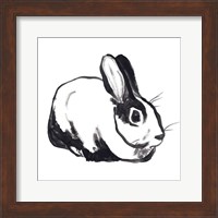 Winter Rabbit I Fine Art Print