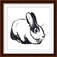 Winter Rabbit I Fine Art Print