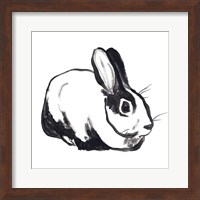 Winter Rabbit I Fine Art Print