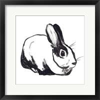Winter Rabbit I Framed Print