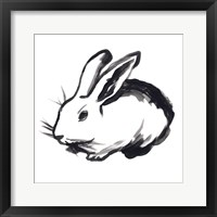 Winter Rabbit II Framed Print