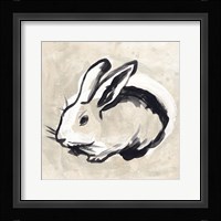 Antique Rabbit II Framed Print