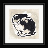 Antique Rabbit IV Framed Print