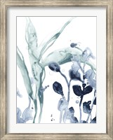 Blue Kelp I Fine Art Print