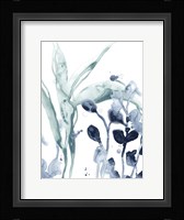 Blue Kelp I Framed Print