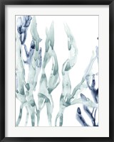 Blue Kelp III Fine Art Print
