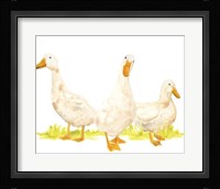 Quack Squad I Framed Print