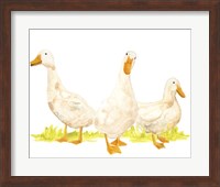 Quack Squad I Fine Art Print