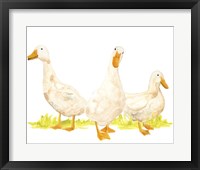 Quack Squad I Fine Art Print