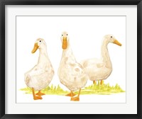 Quack Squad II Fine Art Print