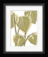 Tropical Offset II Framed Print