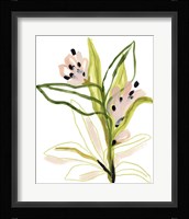 Tropical Cadenza III Framed Print
