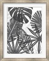 Palm Shadows I Fine Art Print