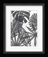 Palm Shadows I Framed Print