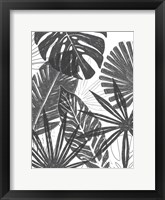 Palm Shadows I Framed Print