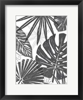Palm Shadows II Framed Print