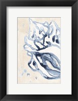 Water Shells II Fine Art Print