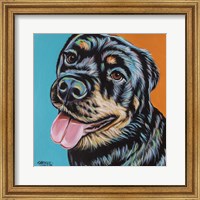 Rottweiler I Fine Art Print
