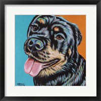 Rottweiler I Fine Art Print