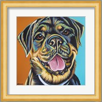 Rottweiler II Fine Art Print