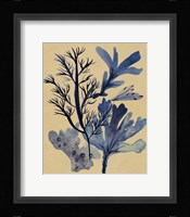Underwater Forest I Framed Print