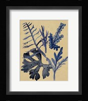 Underwater Forest II Framed Print