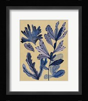 Underwater Forest III Framed Print