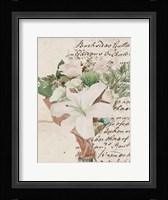 Wrapped Bouquet III Framed Print