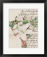 Wrapped Bouquet III Framed Print